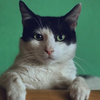 Азартный Самовар