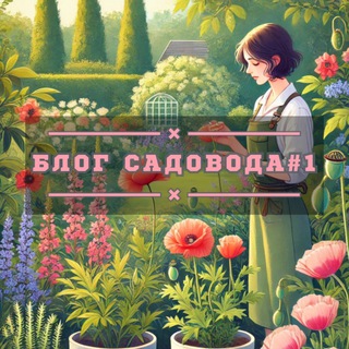 Блог садовода #1 / Дача-удача🏡