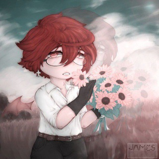 𝙎𝙧𝙖𝙘𝙝𝙖 𝘽𝙀𝙀𝙇𝙄𝙉𝙀