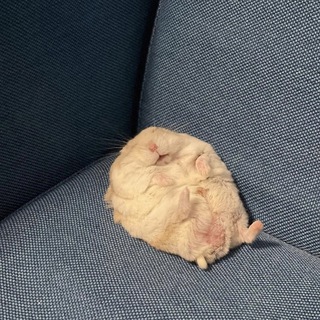 Субтитры сделал DimaTorzok