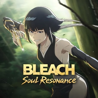 Bleach: Soul Resonance