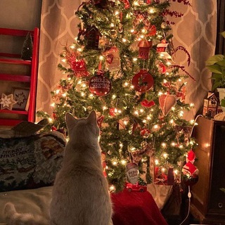 Книжная волна💋🖤