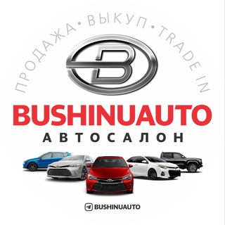 BUSHINUAUTO SALON