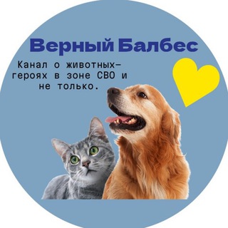 Верный Балбес 🇷🇺