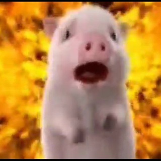 Барселона & Интер Майами | Barcelona & Inter Miami