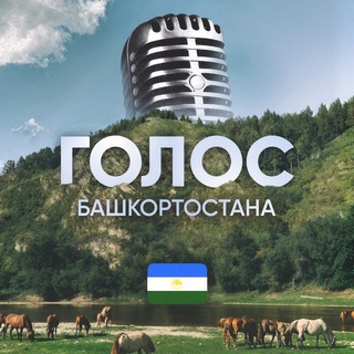 Голос Башкортостана