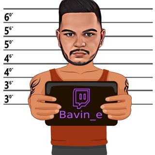 Twitch Bavin_e