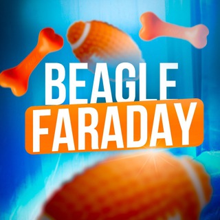 Beagle Faraday