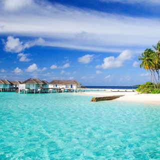 Красивый мир