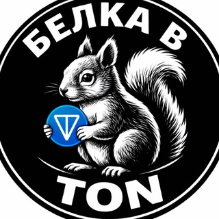 Белка в TON 🐿️