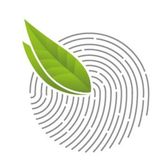 Берёза и Партнёры | Коллегия адвокатов