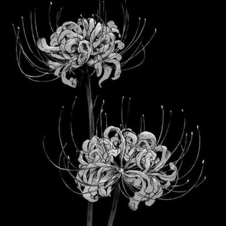 Best StandRise Players