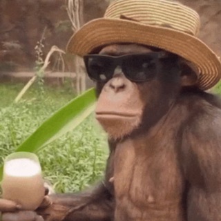 Бибизянье логово