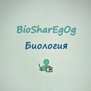 🌻БиоШар: прогулки с Орбами👻