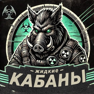 Лежанка Жидких Кабанов «STALCRAFT»