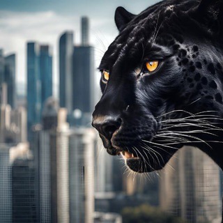 Закон джунглей|Адвокат Анастасия Дуничева