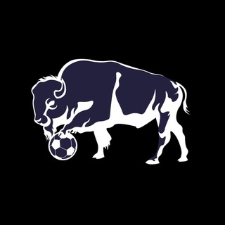 БИзоны // media