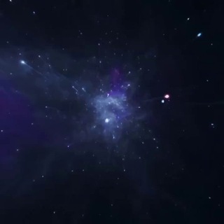 Black Justice COMMUNITY Official Channel