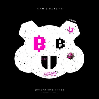 Blum & Hamster - Комбо | Новости | One App