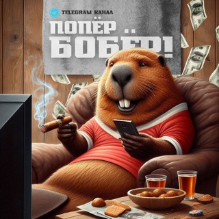 Попер Бобер!🦫