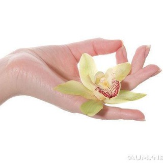 Боклина Светлана / Массаж СПб/ Аксесс Барс