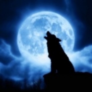 ТОП 10 ЛИЦЕНЗИОННЫХ КАЗИНО!