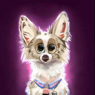 Солнечный зайчик | life