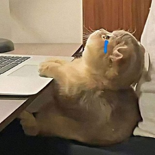 БОЖЕ ПОМОЖИ