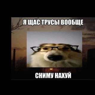 Братство Капибар