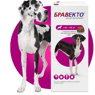 🐶🩷БРАВЕКТО | СИМПАРИКА