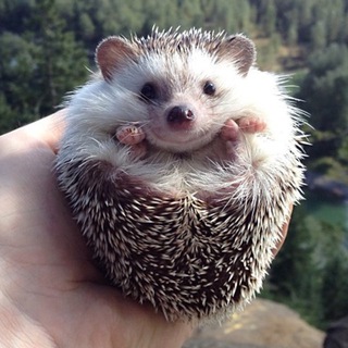 Все о группах