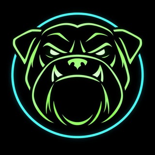 Bulldog Prime | Лучший сервис в 2026 году