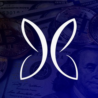 Butterfly Capital News