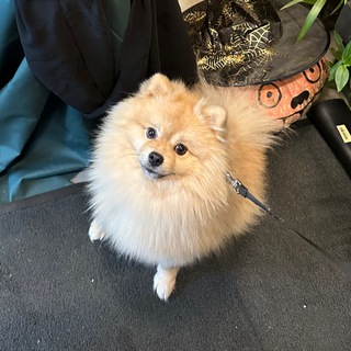 Твой друг - Байер Дюк