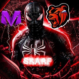 SKARF STUDIO | ХОРОШИЕ СЛИВЫ