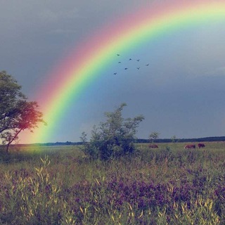 БОРЬБА И МУЖЕСТВО