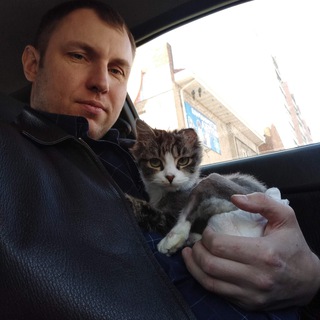 ЖИЗНЬ КОТА БЕЗ ЛАП