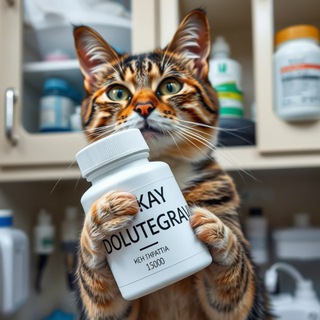 ЛЕЧЕНИЕ ЛЕЙКОЗА У КОШЕК