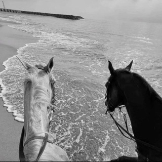 𝐆𝐲𝐩𝐬𝐲_𝐦𝐮𝐬𝐢𝐜_ 𝟗𝟗𝟗