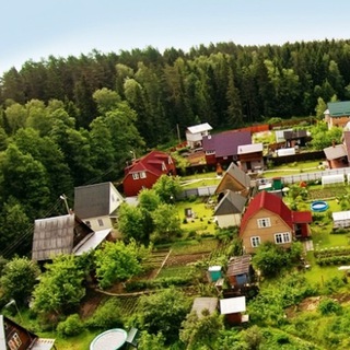 СНТ по любви