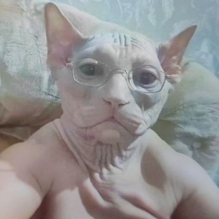 БЛОГ СКАМ АДМИНА