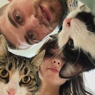 Crazy people and animals