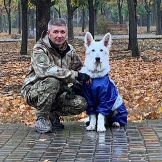 Кинологическая служба «Хорс»