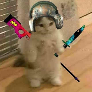 Counter strike как смысл жизни