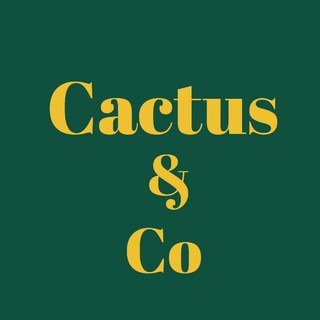Cactus & Co Детская одежда