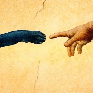 Лаборатория канистерапии🐾