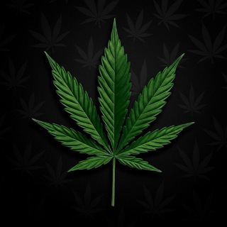 Cannabis | NFT / Gift