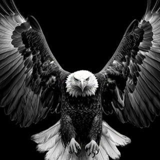 Кастанеда. Учение дона Хуана