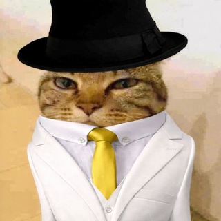 ᵀᴷᴬLifRe Катаклизмовская нораFv⁴²