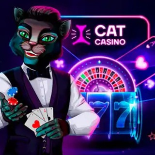 CatCasino